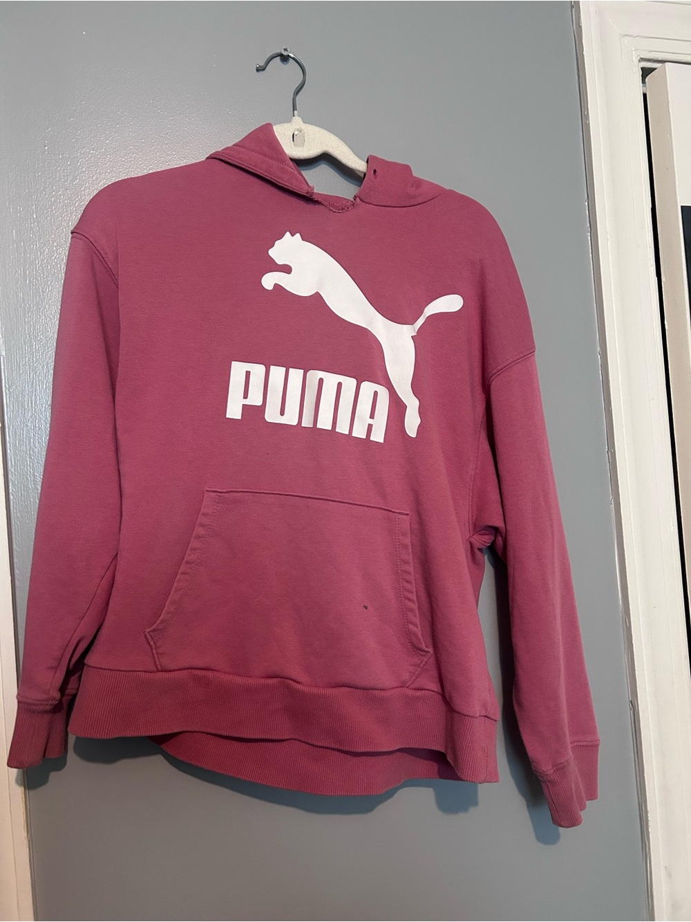 Puma Women's Mauve Hoodie with White Logo